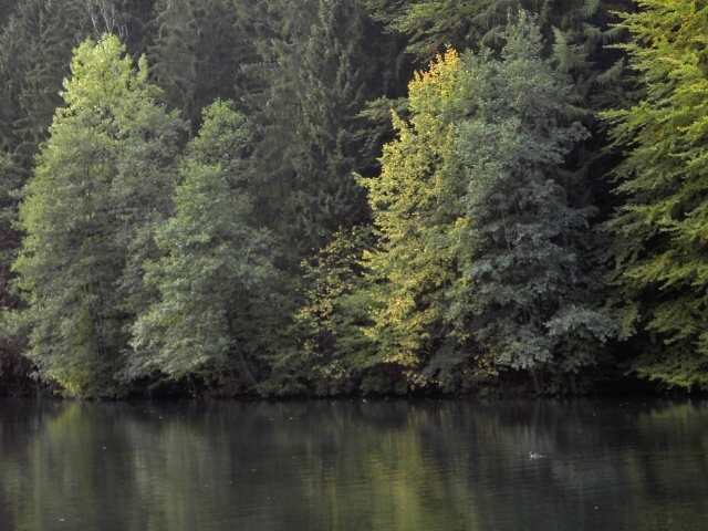 Der Schngrundsee bei Pottenstein (Bild 83023)