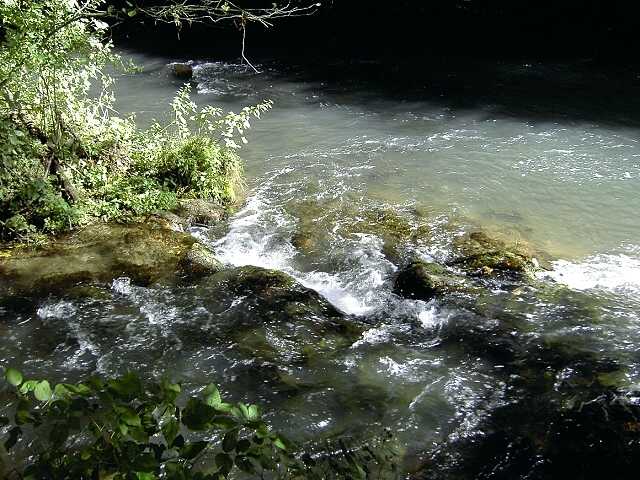 Wanderung an der Aufse: Mndung der Aufse (vorne) in die Wiesent bei Doos (Bild 84001)