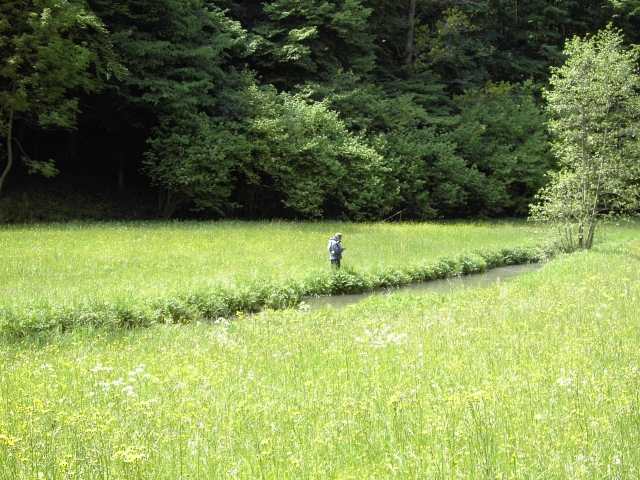 Wanderung an der Aufse: Von Doos zur Kuchenmhle (Bild 84017)