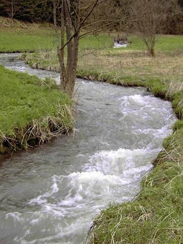 Wanderung an der Aufse: Von Doos zur Kuchenmhle (Bild 84019)