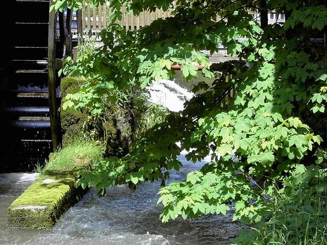 Wanderung an der Aufse: Wasserrad an der Kuchenmhle (Bild 84023)