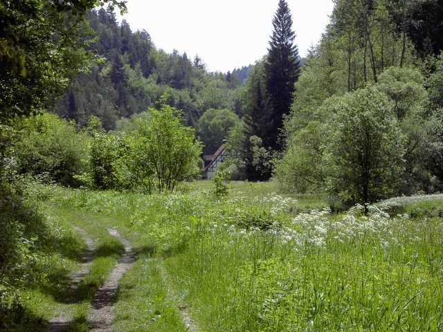 Wanderung an der Aufse: Blick von Nordwesten auf die Kuchenmhle (Bild 84024)