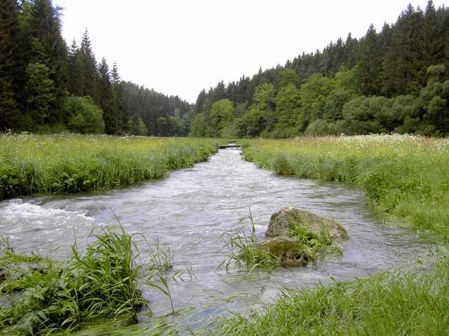 Wanderung an der Aufse: Von der Kuchenmhle nach Wstenstein (Bild 84025)