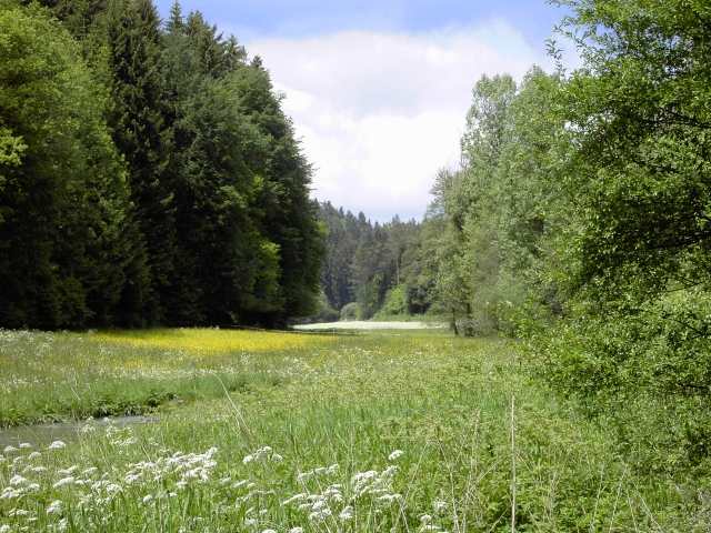 Wanderung an der Aufse: Von der Kuchenmhle nach Wstenstein (Bild 84026)