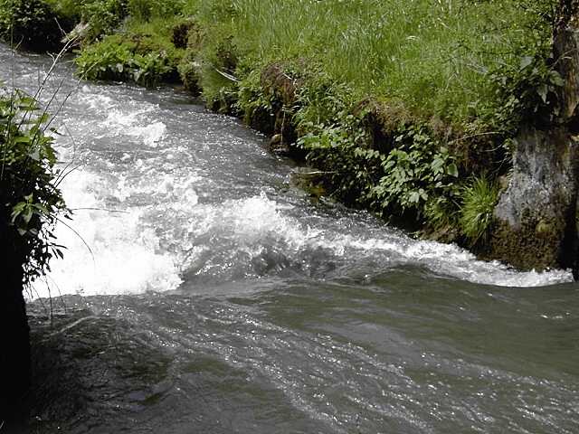 Wanderung an der Aufse: Von der Kuchenmhle nach Wstenstein (Bild 84027)