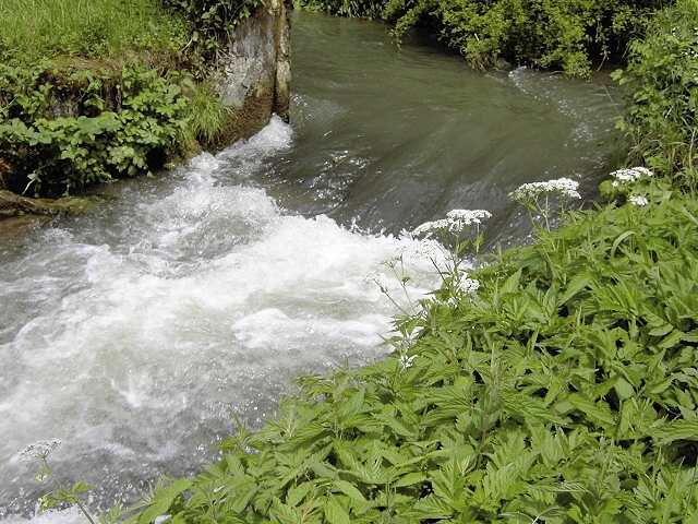 Wanderung an der Aufse: Von der Kuchenmhle nach Wstenstein (Bild 84028)