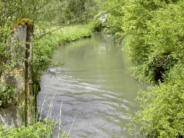 Wanderung an der Aufse: Von der Kuchenmhle nach Wstenstein (Bild 84029)