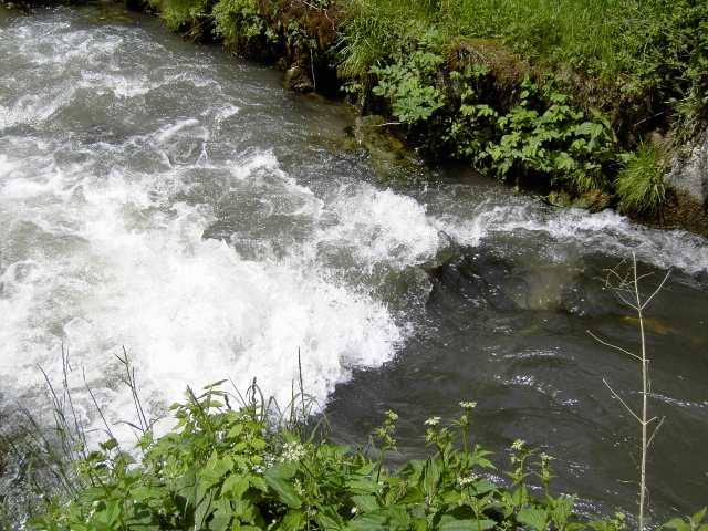 Wanderung an der Aufse: Von der Kuchenmhle nach Wstenstein (Bild 84030)