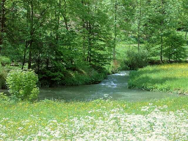 Wanderung an der Aufse: Von der Kuchenmhle nach Wstenstein (Bild 84032)