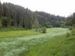 Wanderung von der Kuchenmhle nach Wstenstein
