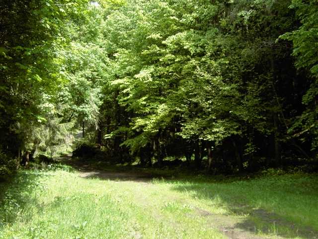 Wanderung an der Aufse: Von Wstenstein nach Draisendorf (Bild 84035)