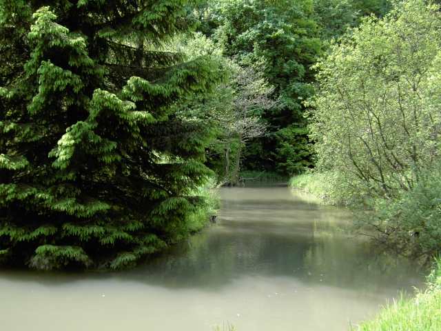 Wanderung an der Aufse: Von Wstenstein nach Draisendorf (Bild 84036)