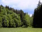 Wanderung von Wstenstein nach Draisendorf